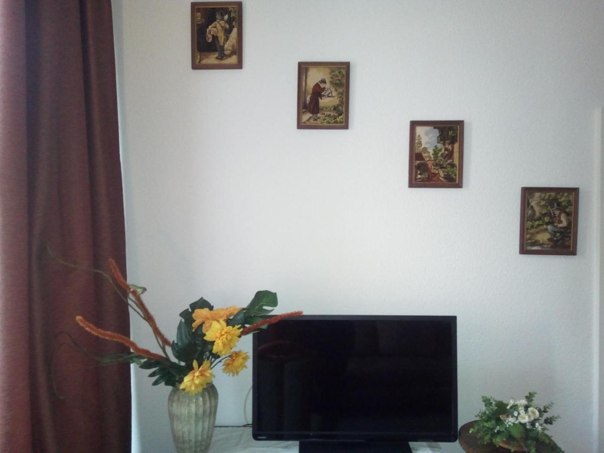 Aa-Apartment -7 Wohnungen Fuer Geschaeftsreisende - Wie Zu Hause Хемниц Экстерьер фото